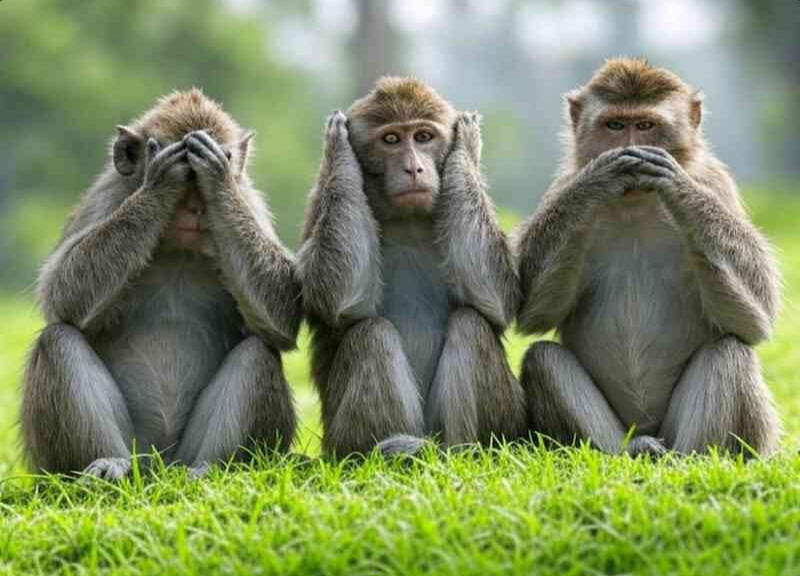 Ignorare i concorrenti come le 3 scimmiette che non vedono, non sentono e non parlano è sbagliato. I concorrenti esistono. non v 3 scimmiette che non vedono, non sentono e non parlano.